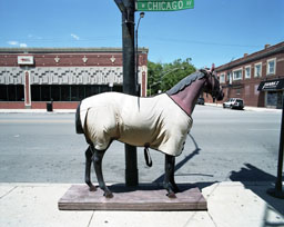 chicago horse_Mette Juul